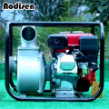 Irrigation Pump/Small Self Priming Water Pump/Manual Water Pump